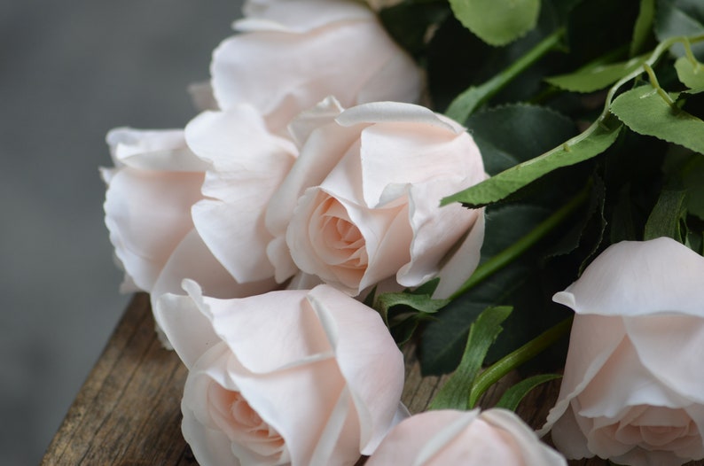 Roses artificielles semi-ouvertes à rougir / rose pâle Real Touch, fleurs DIY Décoration de mariage/maison/cuisine Cadeaux, bouquets de bricolage / centre de table image 4