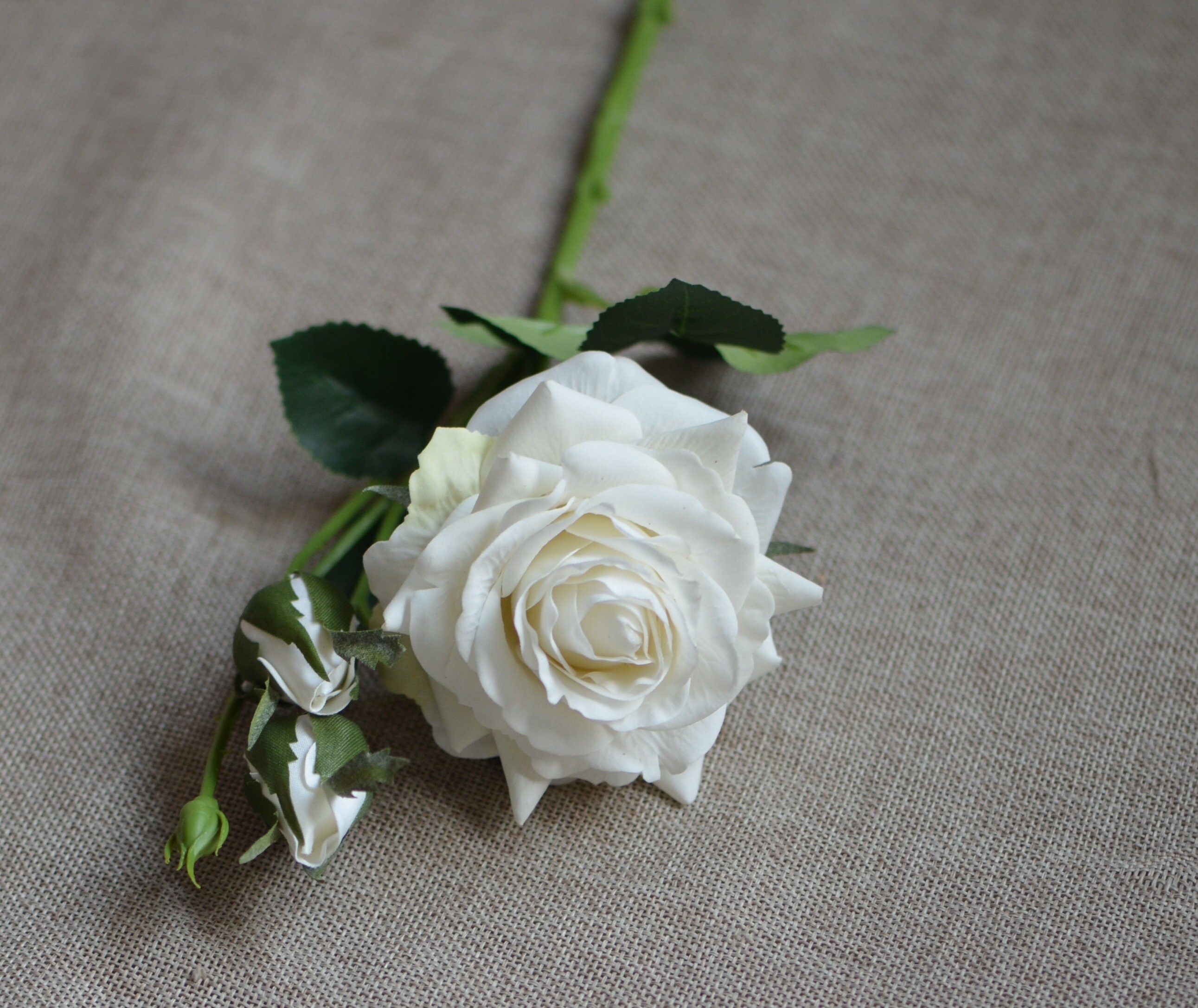 Off White Roses Real Touch Roses Flowers Silk Roses DIY Etsy