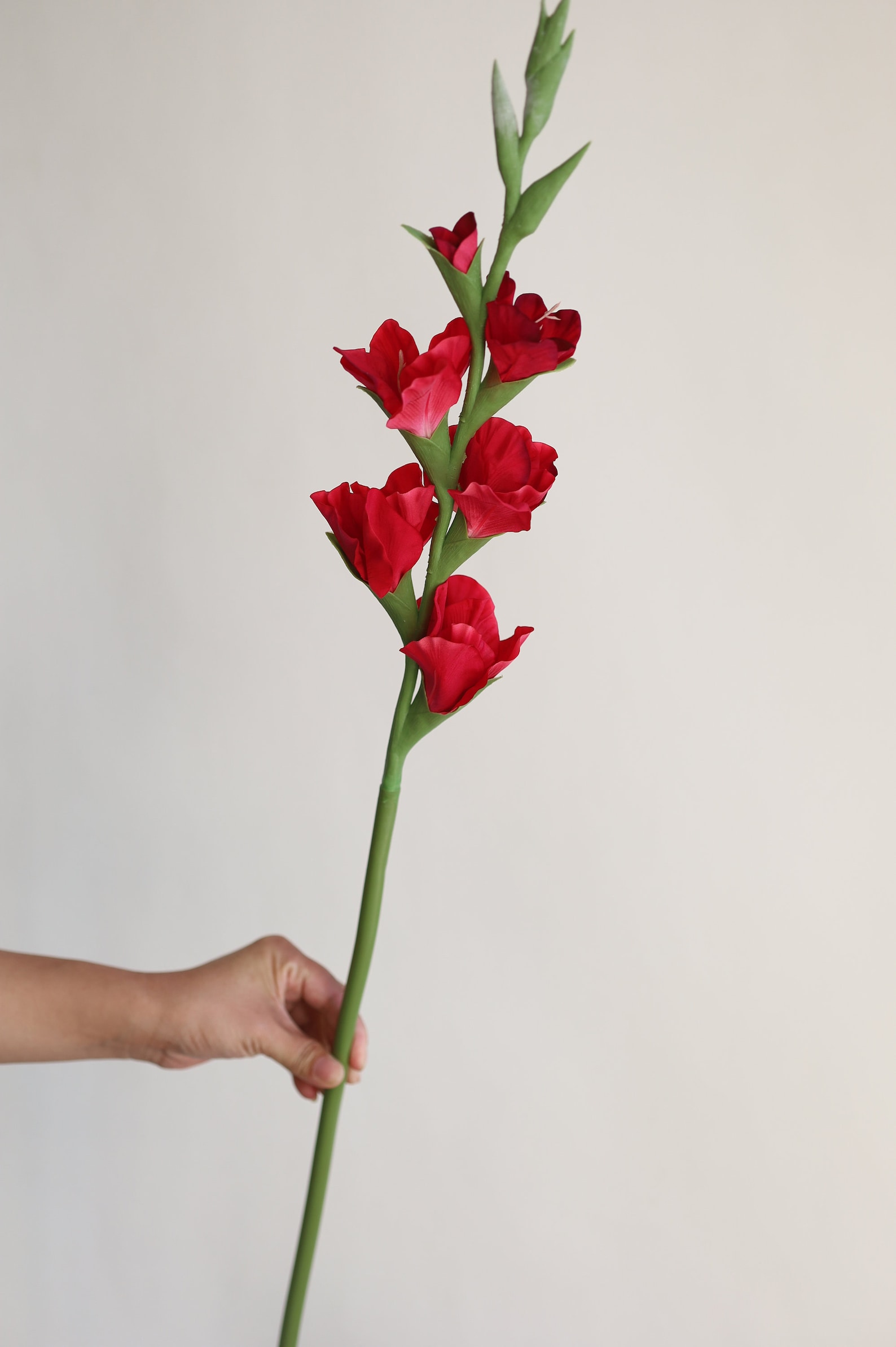 34.3" Real Touch Artificial Gladiolus Stems-fuchsia, Fake Spring Summer ...