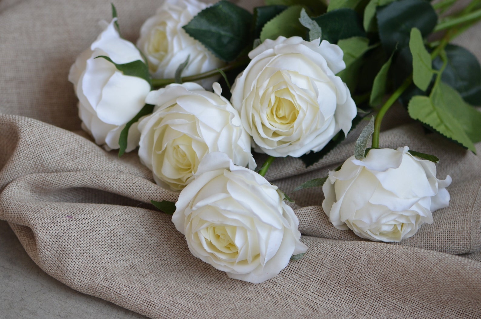 Cabbage Roses Ivory Silk Real Touch Roses DIY Silk Bridal Etsy