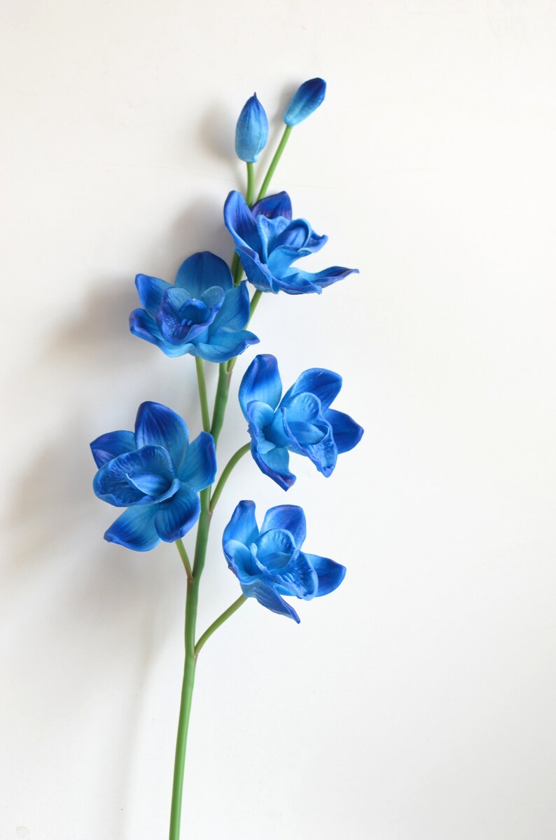 Turquoise Royal Blue Cymbidium Orchids Real Touch Flowers ...