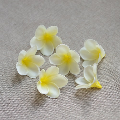 Coral Pink Plumerias Real Touch Frangipani Artificial Flower Etsy