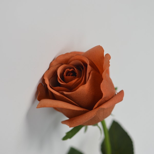 Terracott Real Touch Roses, Burnt Orange Fake Artificial Roses, DIY Florals|Wedding/Home Decorations | Gifts, DIY Bouquet/Centerpiece Supply