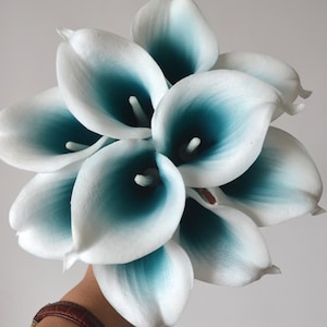 May include: A bouquet of white calla lilies with teal centers. The flowers are arranged in a compact cluster, with the teal color subtly shading the inner petals. The overall effect is a fresh, elegant floral arrangement.