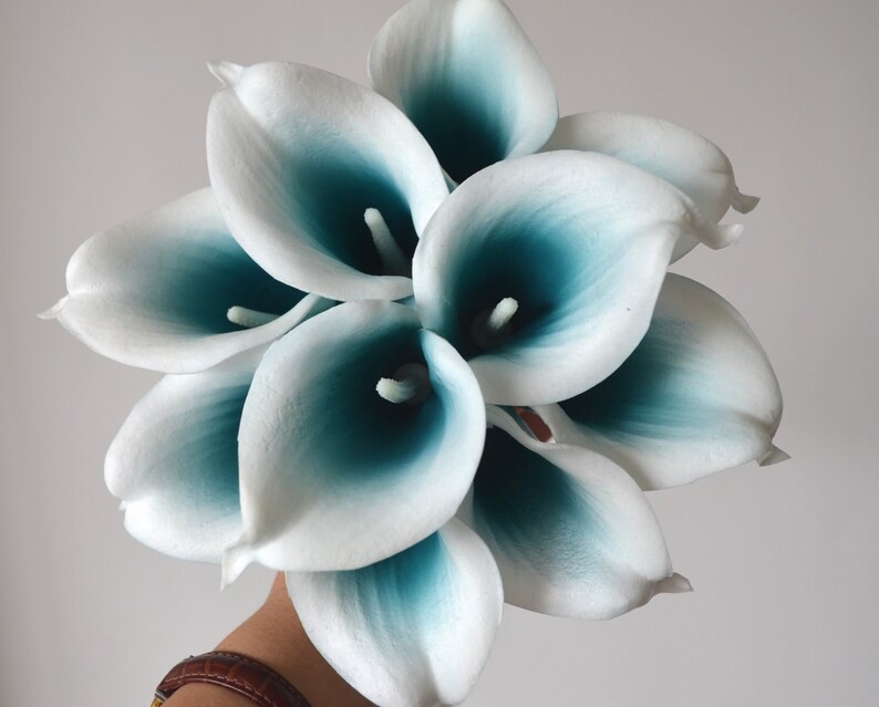 May include: A bouquet of white calla lilies with teal centers. The flowers are arranged in a compact cluster, with the teal color subtly shading the inner petals. The overall effect is a fresh, elegant floral arrangement.