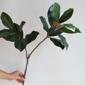 Peut inclure: Une seule tige de feuilles de magnolia artificielles avec des feuilles vert foncé.