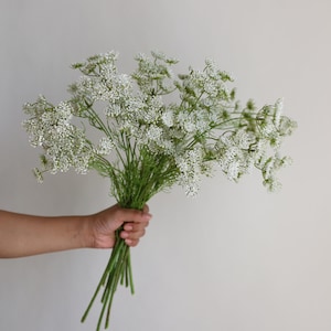 Tallo de planta de encaje falso de la reina Ana de 19,7 , 3 cabezas en blanco, rama de flores artificiales de primavera, flores de bricolaje / boda / hogar / decoración de cocina, regalos imagen 8