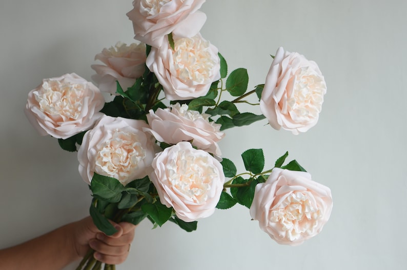 Englsih Roses Fake 25.5