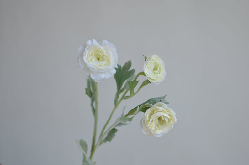 May include: A bouquet of three white artificial ranunculus flowers with green leaves.