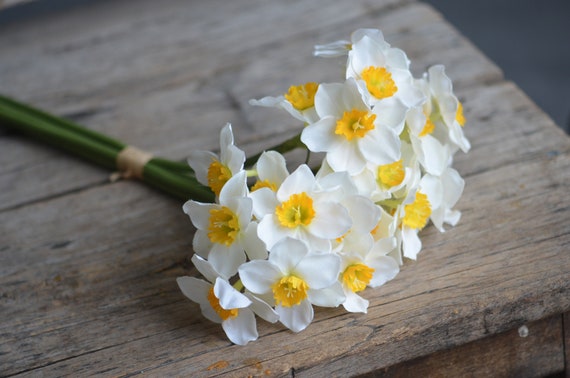 White & Yellow Artificial Daffodils, 6 Stems, DIY Bouquet