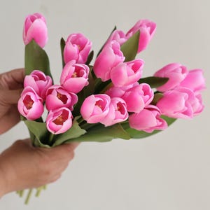 May include: A bouquet of pink tulips with green stems and leaves.