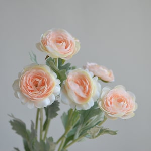 May include: A bouquet of five delicate peach-colored ranunculus flowers with green leaves.