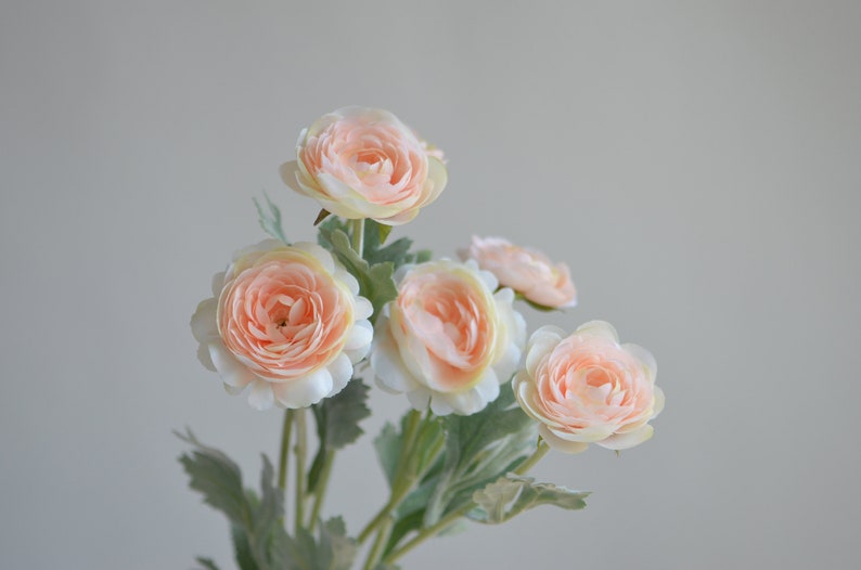 May include: A bouquet of five delicate peach-colored ranunculus flowers with green leaves.