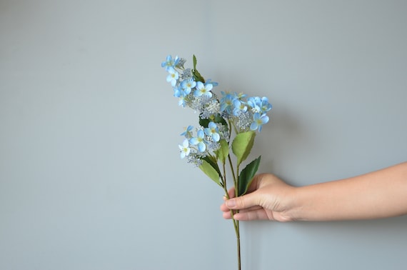 Hortensias con semillas azules flores silvestres azules - Etsy España