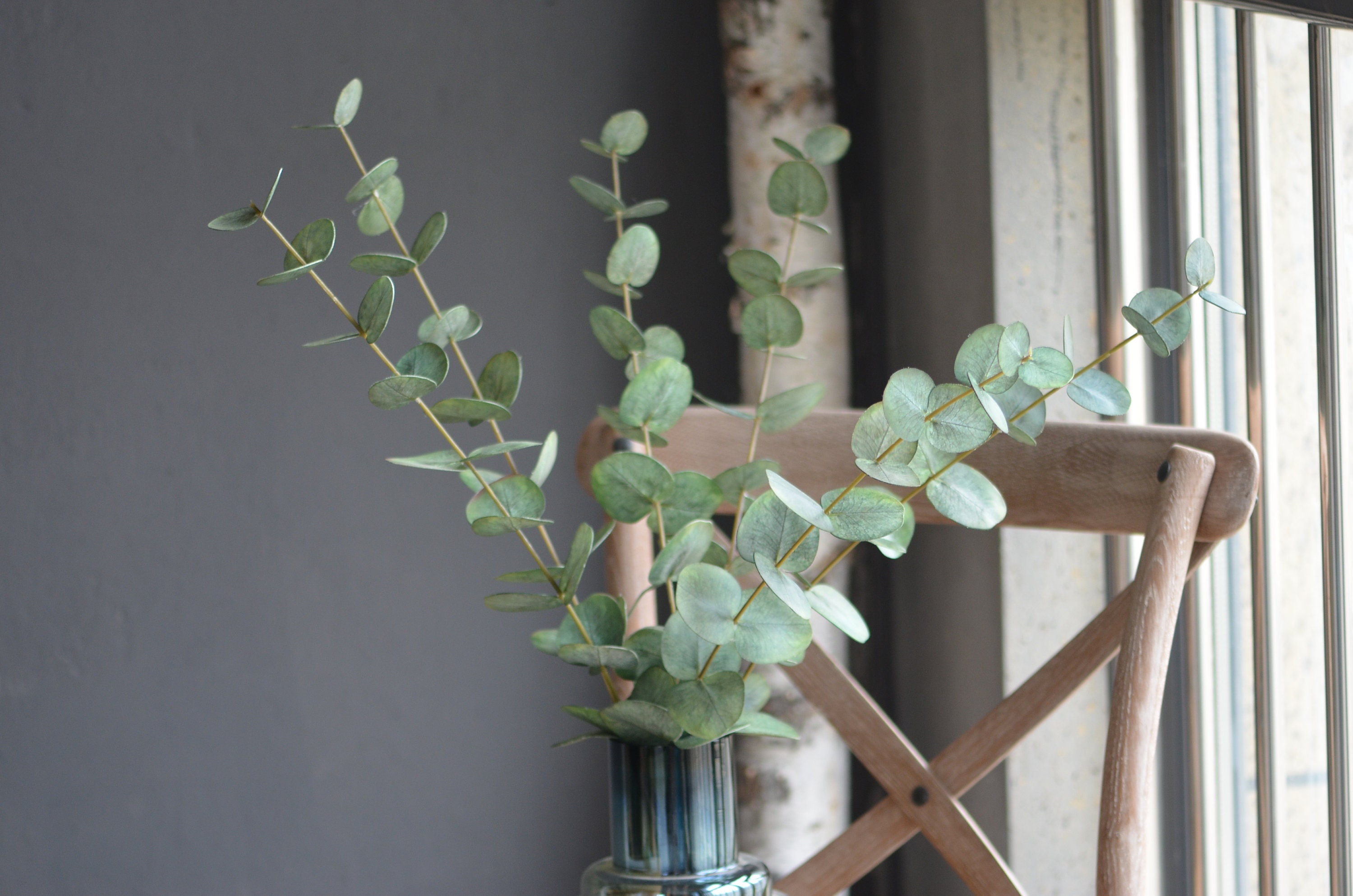 Real Touch Eucalyptus Sage Green Eucalyptus Vintage Etsy