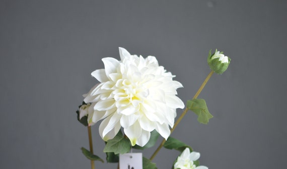 Floroom Fiori Artificiali 25 Pezzi Rose Finte In Schiuma Dorata Dall Realistico Con Steli Per Bouquet Da Sposa Fai Da Te Centrotavola Pe~p110148571