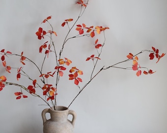 May include: A vase with a rustic, terracotta finish and two handles holds a bouquet of branches with orange and red leaves.