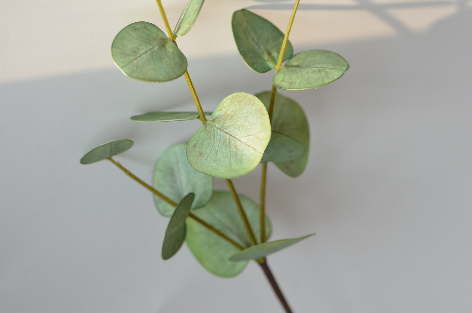 Sage Green Eucalyptus Real Touch Eucalyptus Vintage Etsy