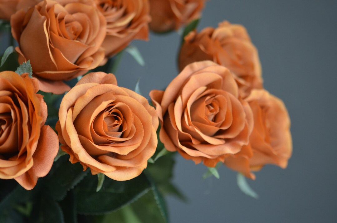 25 Burnt Orange Real Touch Faux Roses, DIY Florals Supply Wedding/home