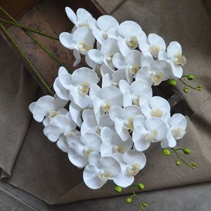 White Orchids Real Touch Flowers Phalaenopsis True Touch Artificial Orchids DIY Silk Wedding Bouquets Wedding Centerpieces