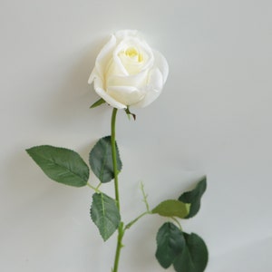 25&quot; Real Touch Cream Ivory Roses, Half Opened Faux Roses, High Quality Artificial Flower | DIY Floral | Wedding/Home Decoration | Gifts