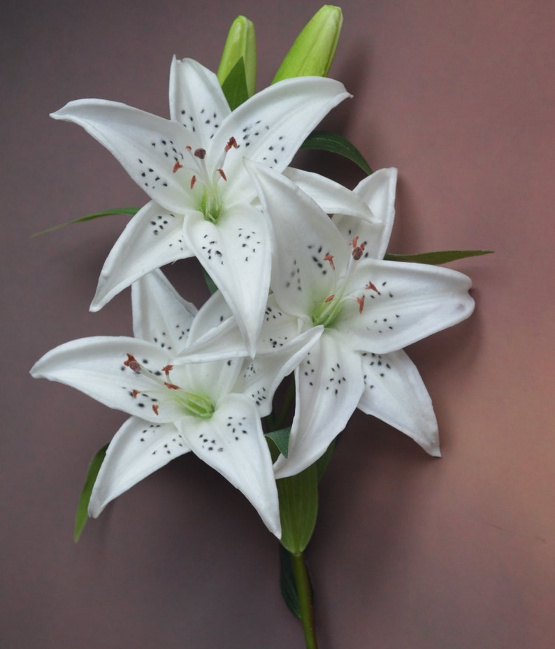white tiger lily wedding bouquet