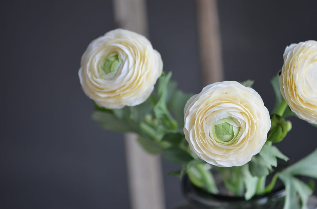 White Fake Ranunculus Artificial Ranunculus, Soft Ranunculus, White Green Ranunculus, DIY ...