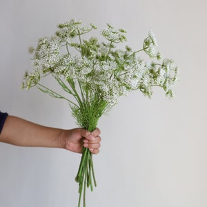 Tallo de planta de encaje falso de la reina Ana de 19,7 , 3 cabezas en blanco, rama de flores artificiales de primavera, flores de bricolaje / boda / hogar / decoración de cocina, regalos imagen 9