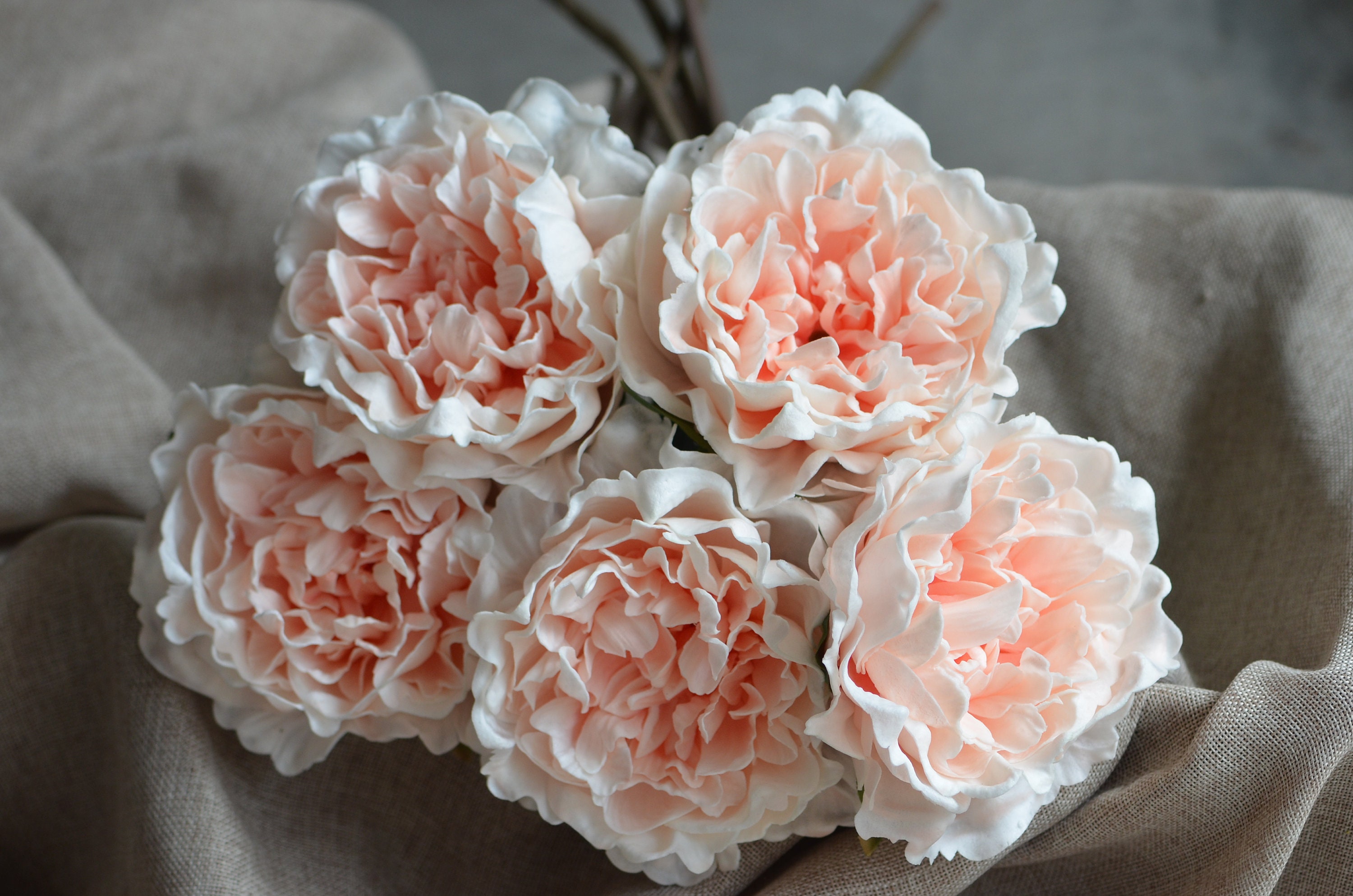 Peach Blush Peonies Real Touch Peonies DIY Silk Wedding Bridal Etsy