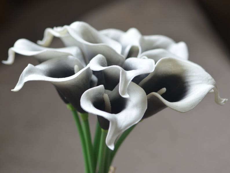 May include: A bouquet of artificial calla lilies with white petals and black centers. The stems are green.