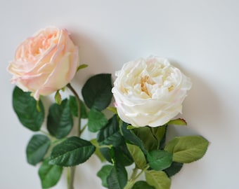 24" Austin Cabbage Roses, Garden Roses, Real Touch Roses, Blush Cream Ivory, Silk Roses, DIY Wedding Bouquets, Centerpieces