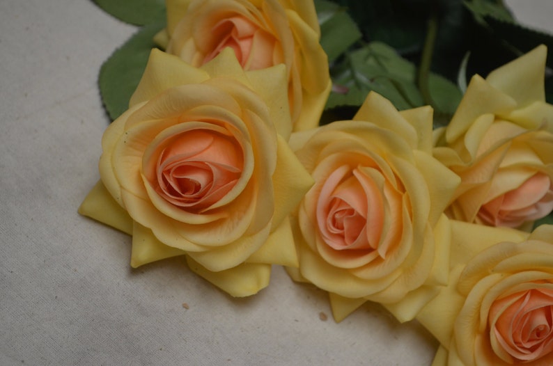 Yellow Champagne Real Touch Latex Roses Wedding Flowers Diy Silk Bridal Bouquets Wedding Centerpieces Home Living Plants Fontane Physio De