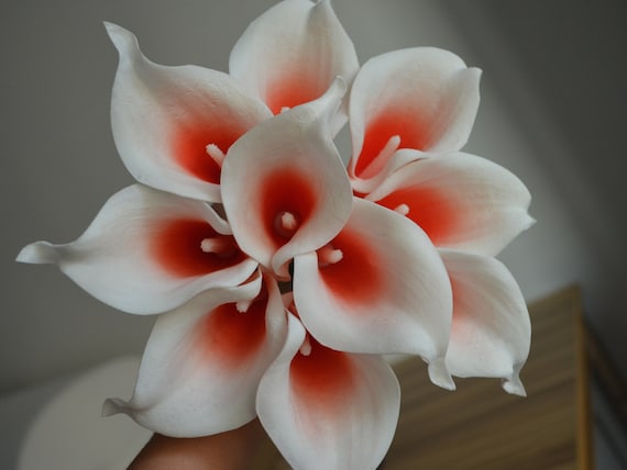 10 Coral Picasso Calla Lilies Real Touch Flowers DIY Wedding - Etsy UK