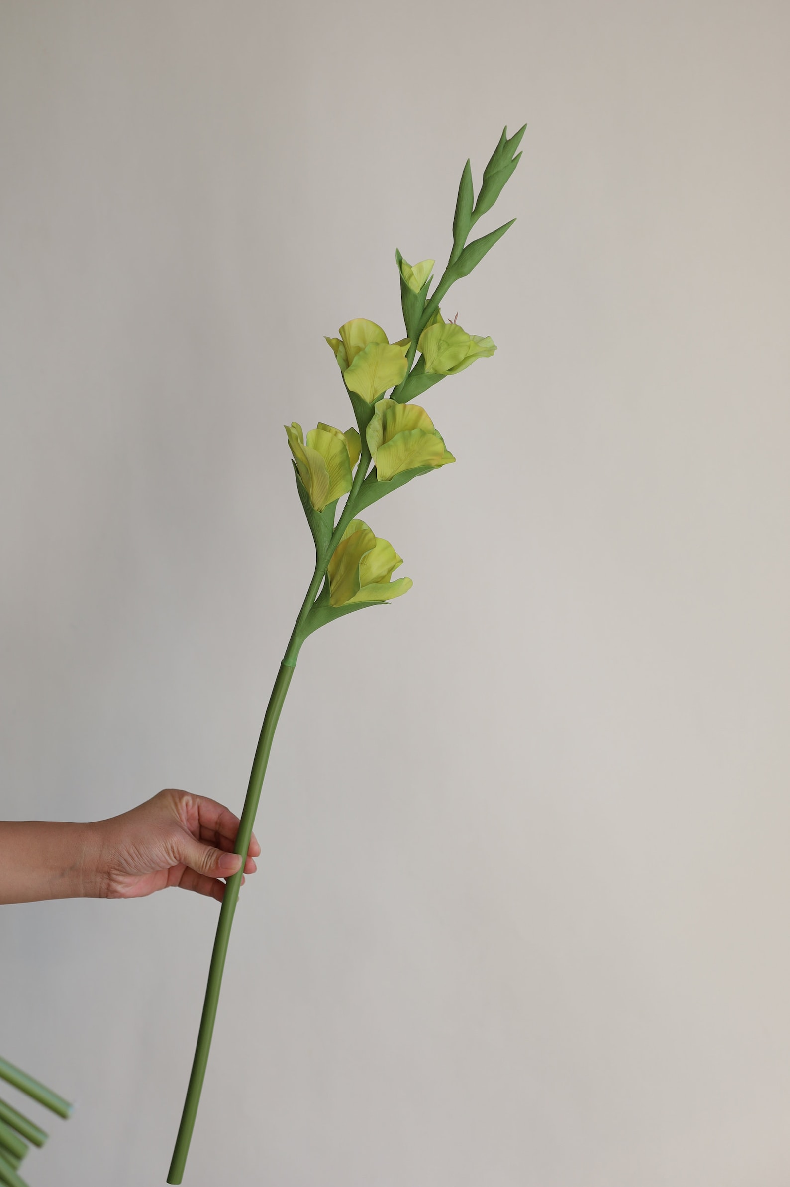 34.3" Real Touch Artificial Gladiolus Stems-fuchsia, Fake Spring Summer ...