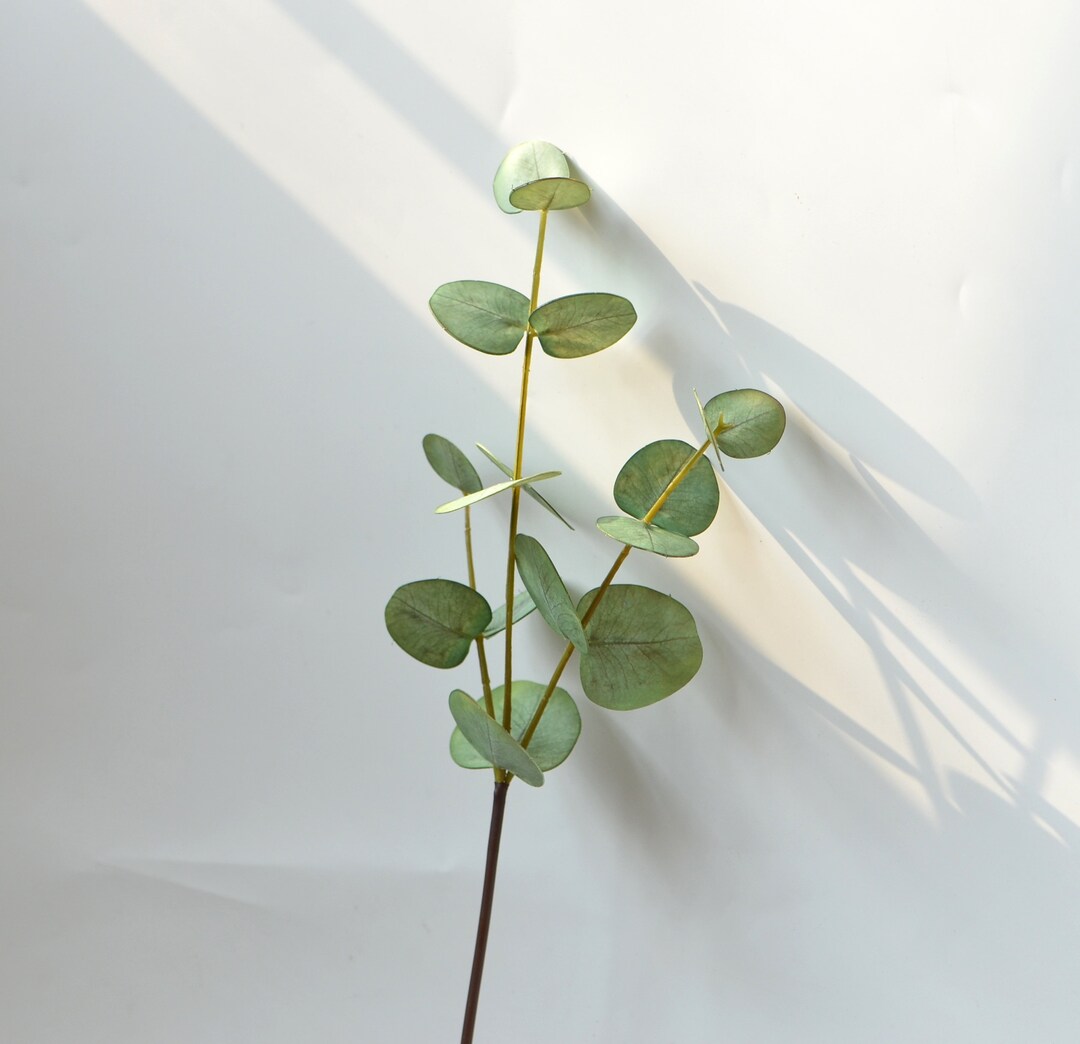 Sage Green Eucalyptus, Real Touch Eucalyptus, Vintage Greenery, Centerpieces, Eucalyptus