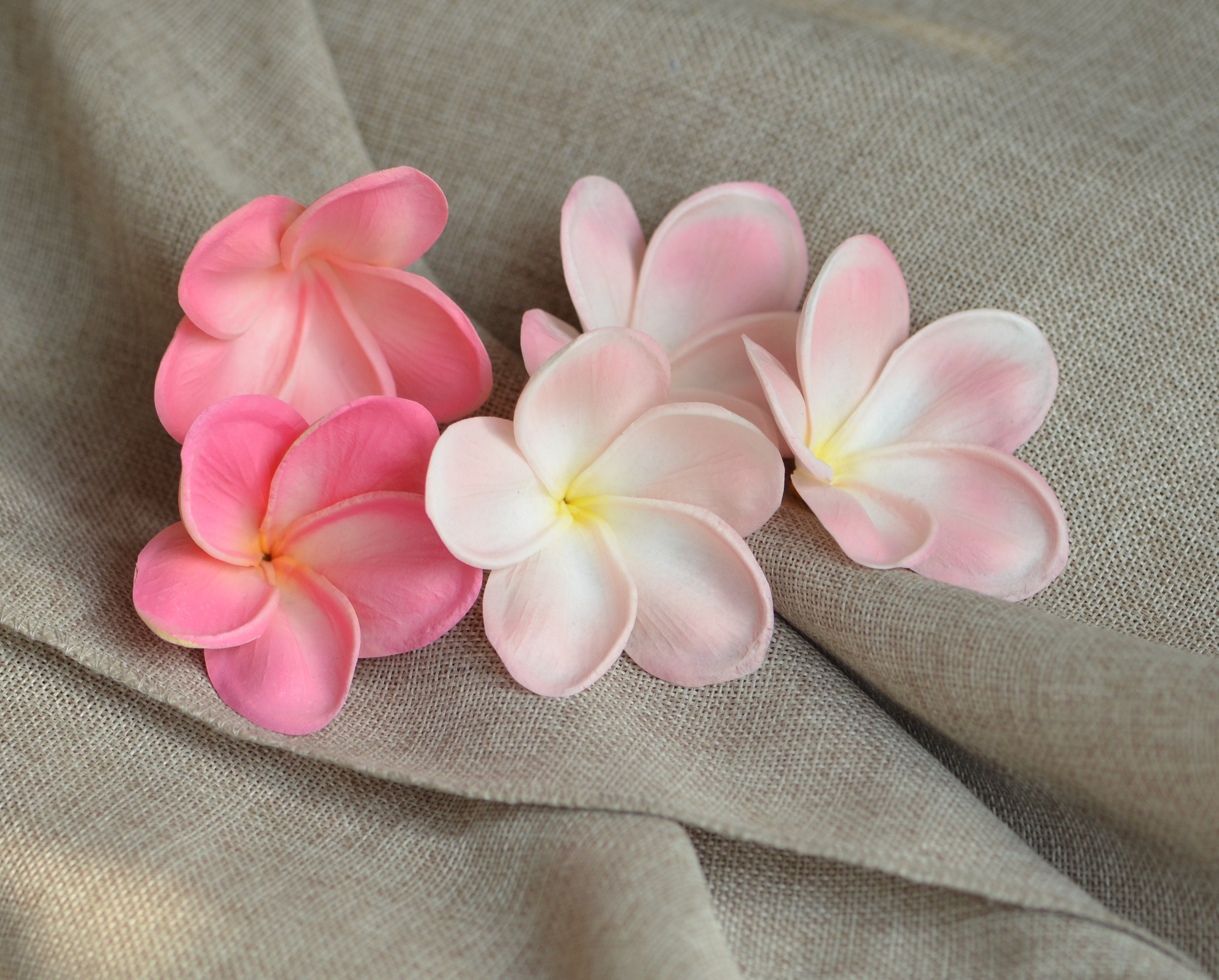 3 X Mittelgroße Plumeria-Krallenclips (C#) – Dekorative Haaraccessoires