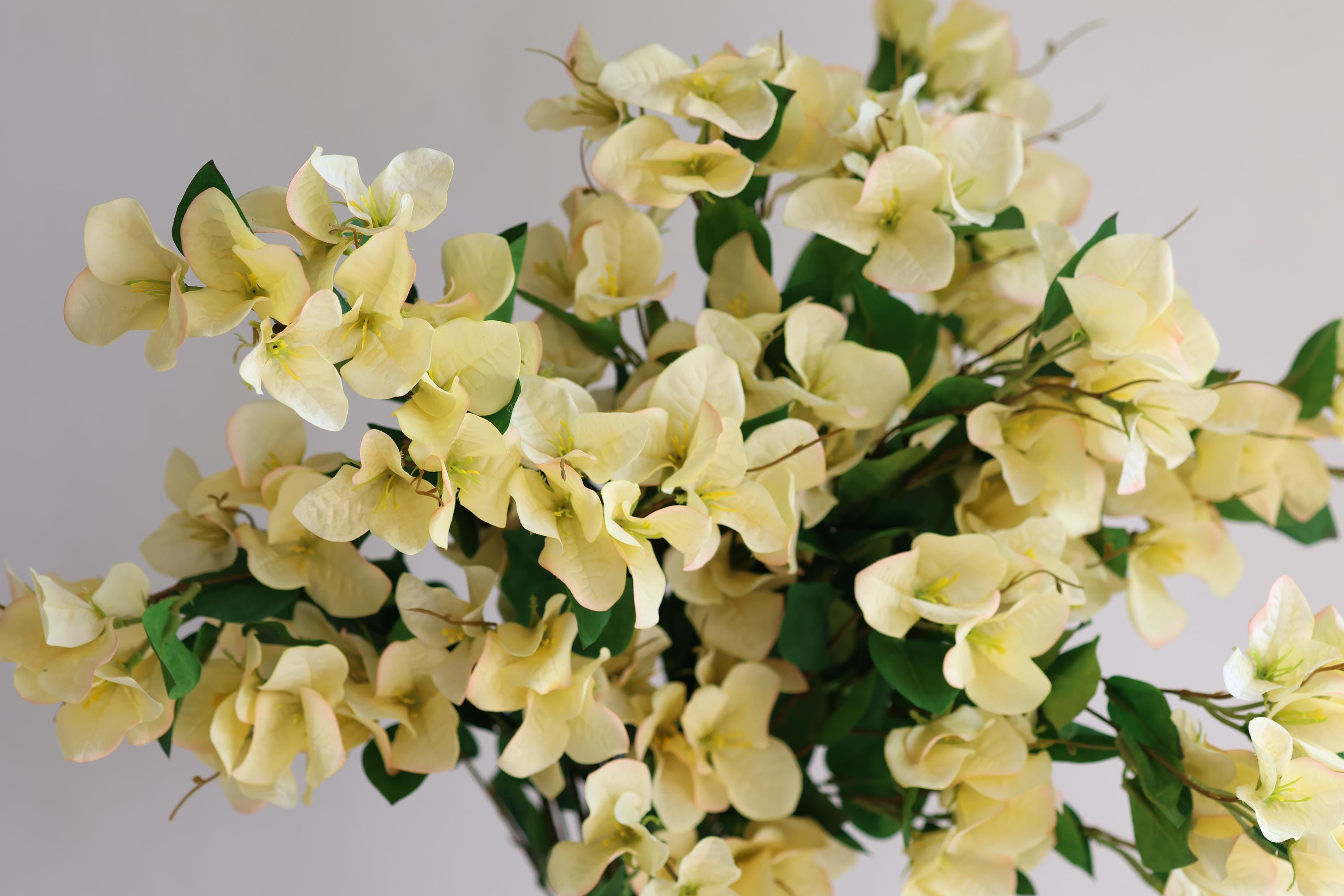 フェイクパステルイエローブーゲンビリアの茎、リアルタッチフラワー
