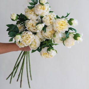 Pu&ograve; includere: Un mazzo di peonie bianche con steli e foglie verdi.