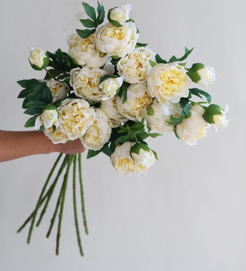 Pu&ograve; includere: Un mazzo di peonie bianche con steli e foglie verdi.