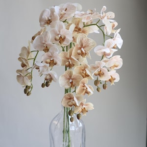 37“ Tan Beige Faux Real Touch Phalaenopsis Orchid, Artificial Spring Plant Stem, DIY Centerpieces Florals, Wedding/Home Decorations, Gifts