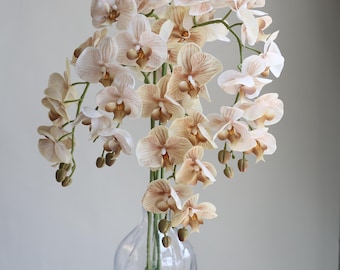Real Touch Phalaenopsis Orchid Stem: 37" Beige Artificial Floral