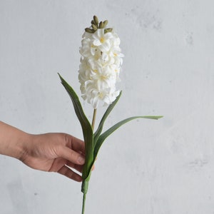 May include: A white hyacinth flower with green leaves and stem. The flower is in full bloom, with many small, tightly packed petals. The leaves are long and slender. The flower is held by a hand against a white background.