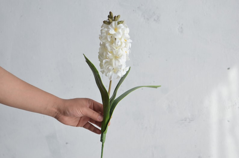 May include: A white hyacinth flower with green leaves and stem. The flower is in full bloom, with many small, tightly packed petals. The leaves are long and slender. The flower is held by a hand against a white background.