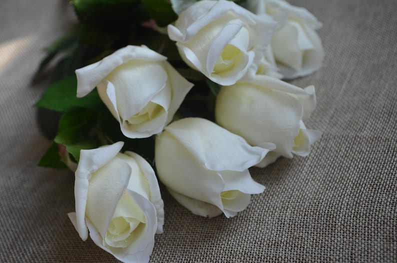 17 Cream White Real Touch RoseBuds, DIY Florals Wedding/Home Decoration Gifts, DIY Bouquets/Centerpieces image 3