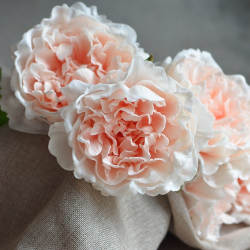 Peach Blush Peonies Real Touch Peonies DIY Silk Wedding Bridal Etsy