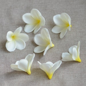 Plumeria color crema avorio Plumeria al tatto reale Capolini di fiori fai da te per decorazioni per torte