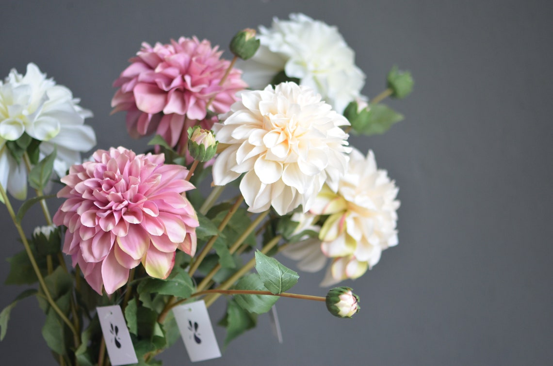 Dust Pink Ivory Faux Dahlia White Dahlia Flowers Gradient Etsy