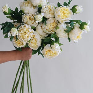 Pu&ograve; includere: Un mazzo di peonie artificiali color crema con steli e foglie verdi.