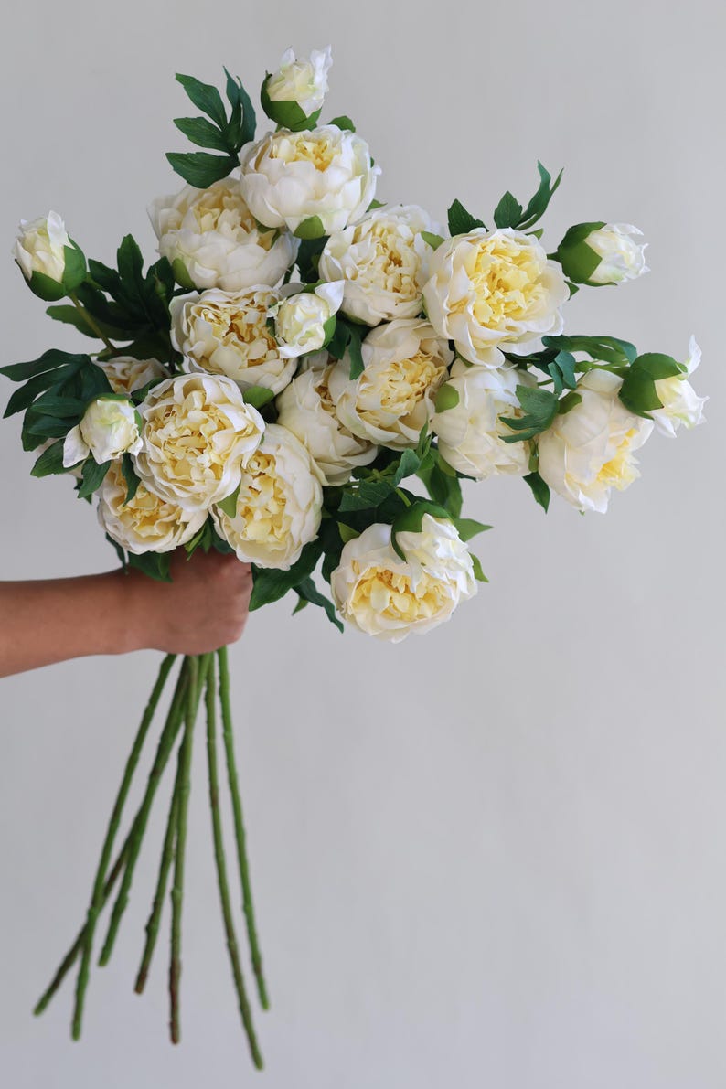 Pu&ograve; includere: Un mazzo di peonie artificiali color crema con steli e foglie verdi.