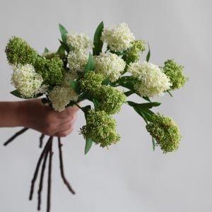 22.5インチ 人工種子枝 - グリーン、高品質人工植物、DIYオフィス/結婚式/ホームデコレーション/お母さんへのギフト、ホリデーデコレーション